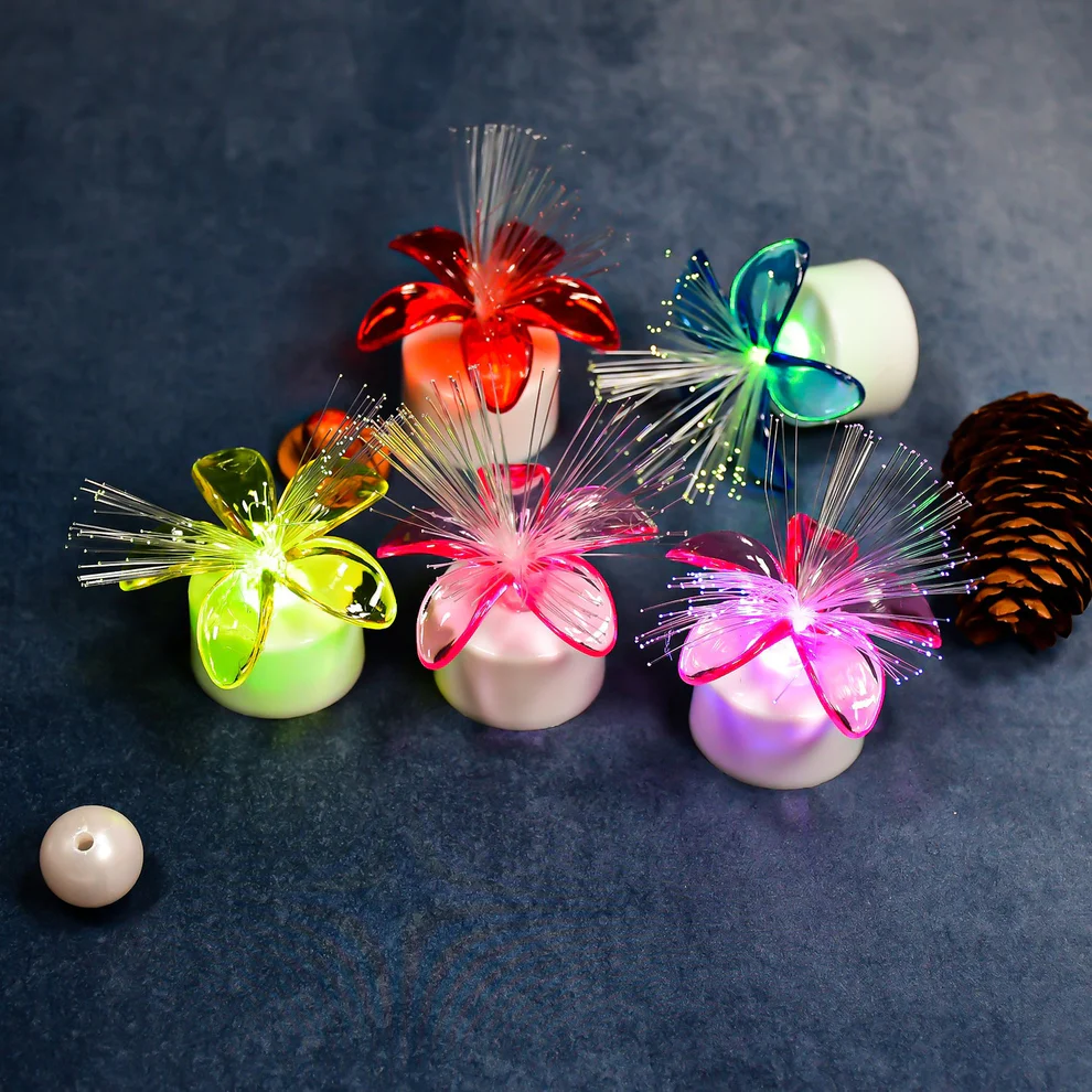 6image_99ea5b36-f66e-44d1-ae3e-26951e793833